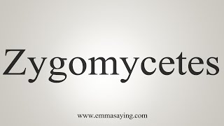 How To Say Zygomycetes [upl. by Marian]