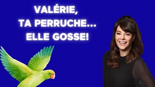 ÉNERGIE 🦜 Ta perruche elle gosse On nest plus capable 🦜 – Révélations [upl. by Eizdnil]