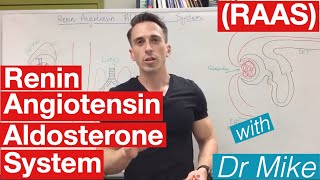 Renin Angiotensin Aldosterone system [upl. by Osmond]