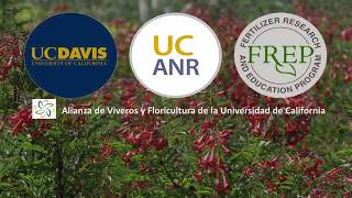 Nitrógeno en la Nutrición de las Plantas en la Producción de Viveros [upl. by Enitsuj874]