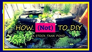 How NOT To DIY A Stock Tank Pond Baby Goldfish [upl. by Zachariah]