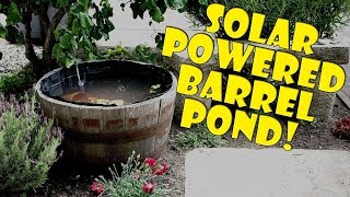 Mini Garden Goldfish Pond  Solar powered [upl. by Lorelei]