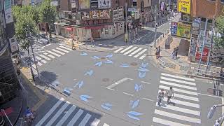 【Archive】Shinjuku Kabukicho Live Camera [upl. by Cullie181]