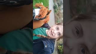 hobby horse vlog 3 [upl. by Cran]