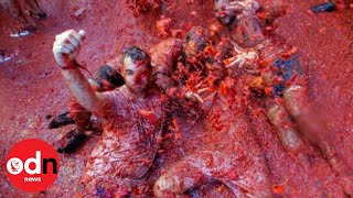 145 TONNES of Tomatoes Thrown During La Tomatina Festival 2019 [upl. by Intisar]