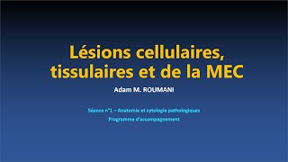 ACP  Lésions cellulaires tissulaire et de la MEC [upl. by Aihsem]