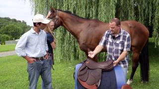 How to do a proper Saddle Fitting for you and your horse [upl. by Asylla377]