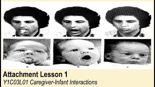 ALevel Psychology AQA Attachment  CaregiverInfant Interactions [upl. by Auqinal]