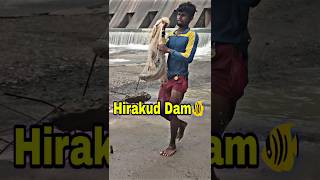 Hirakud Dam Re fishing video hirakuddam fishing shortvideos shorts short viralvideo viral [upl. by Shaylynn]