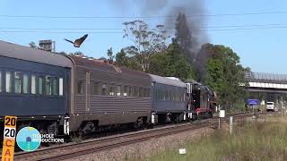 Steam Locomotive R766  Mainline Trial to Muswellbrook  February 2022 [upl. by Patrizio]