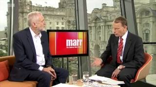 Andrew Marr on causality  Noam Chomsky on Marr [upl. by Attalie]