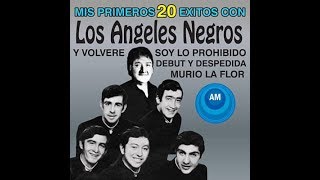 Victor aldrin la voz de los angeles negros [upl. by Inaluiak]