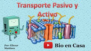 TRASPORTE PASIVO Y ACTIVO a través de la membrana plasmática [upl. by Gisser]