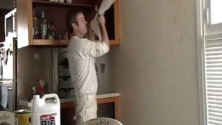 Removing Wallpaper the Right and Fastest Way Part 3 [upl. by Onida416]