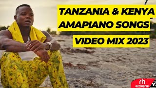 TANZANIA VS KENYA AMAPIANO SONGS VIDEO MIX 2023 BY DJ BUSHMEAT FT MARIOOHARMONIZEDIAMONDCARTOON 47 [upl. by Bogey749]