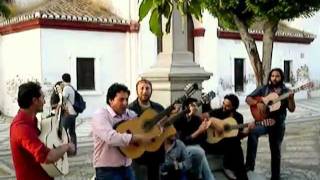 Flamenco Alegre Mirador de San Nicolas Granada [upl. by Katti]