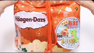 HaagenDazs Ice Cream Lucky Bag Unboxing [upl. by Bennink]