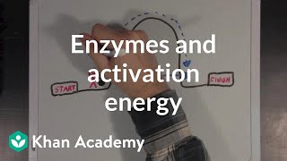 Enzymes and activation energy  Biomolecules  MCAT  Khan Academy [upl. by Goth403]