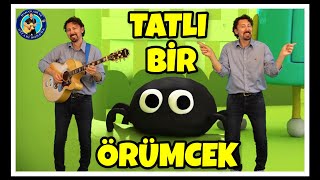 TATLI BİR ÖRÜMCEK  Çocuk Şarkısı  Hakan Abi ve Gitarı Boncuk [upl. by Asyar]