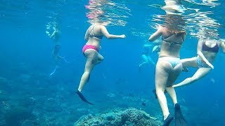 BALI INDONESIA  Snorkeling in Bali  Beautiful Coral Reefs [upl. by Grenier]