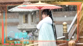 半生雪  蔣雪兒【動態歌詞】 半生風雪 ，吹不散歲月留下的眼淚  Chinese music [upl. by Ahsaenat]