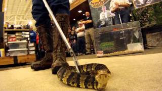 Rockys Snake Master at Cabelas [upl. by Ennej995]