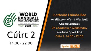 Day 4  Court 2  1400  2200  oneillscom World Wallball Championship  Liathróid Láimhe Beo [upl. by Godfry]