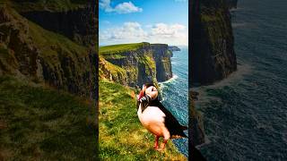 Cliffs of Moher Intriguing Facts [upl. by Edette]