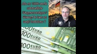 Jöhet Magyarországon az 1000 eurós minimálbér Mennyi is lesz az forintban [upl. by Penrod]