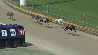 Gawler11092024Race6 [upl. by Llerat]