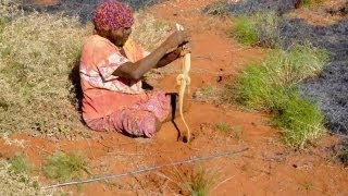 Fire Hunting in Australia [upl. by Karla]