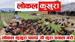 Local kukhura palan  Kishan ko pathshala  लोकल कुखुरा पालन [upl. by Ecargyram]