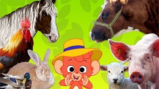 Learn Farm Animals Names and Sounds  Real Farm Animal video for Children  Club Baboo [upl. by Stein]