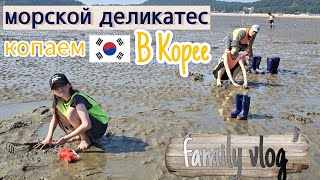 Один счастливый выходной с семьёй в Корее  KOREA VLOG [upl. by Barlow]