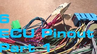 6 ECU Pinout 12  Wiring Harness Series [upl. by Maxine730]