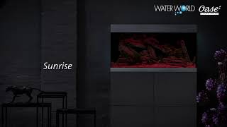 Oase Premium LED Lighting  Water World [upl. by Ahoufe]