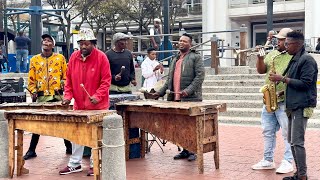 Musicians Spotted in South Africa Part 6 [upl. by Oyr]