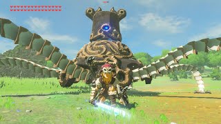 How to Make a Friendly Guardian in Breath of the Wild  Glitch Tutorial [upl. by Black]