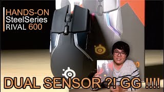 SteelSeries Rival 600 PAKE DUAL SENSOR  GGWP GAN [upl. by Bibeau763]