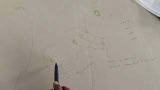 jugular foramen revision [upl. by January]