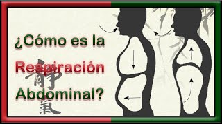 ¿Cómo transformar tu respiración pectoral en respiración abdominal [upl. by Awhsoj954]