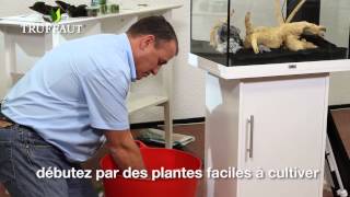 Comment installer des plantes daquarium   Truffaut [upl. by Idona18]