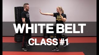 Introduction to Krav Maga  White Belt Class 1 Stance amp Palm Strike [upl. by Desdamonna225]