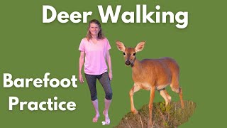 Deer Walking  Barefoot Practice with Feldenkrais Method [upl. by Airdnekal]