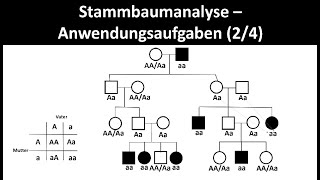 Stammbaumanalyse  Anwendungsaufgaben 24  Biologie Oberstufe [upl. by Zile182]