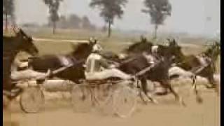 Great Green Wave Part 4  USTA Harness Racing [upl. by Anytsirk]