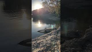 Chickasaw National Recreation Area Fishing Rock Trail rocks lakeview hiking outdooradventures [upl. by Kara]