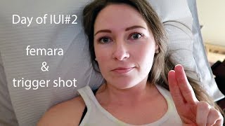 How my second IUI went with Femara and HCG trigger shot [upl. by Sello342]