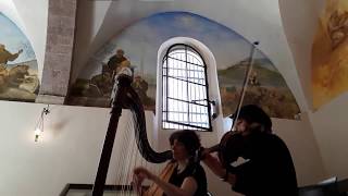 Musica per Matrimonio con Violino e Arpa  Assisi [upl. by Htiekram269]