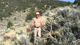 Unit 2 Colorado elk hunter Lonny VannataGod Bless America 345 bull [upl. by Yecam]